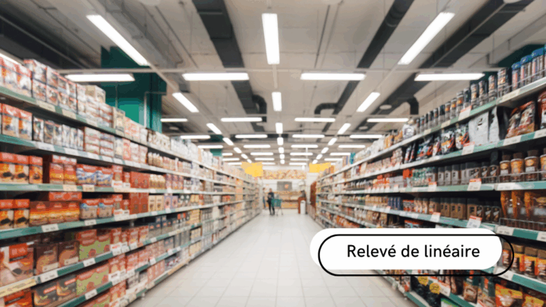 relevé de linéaire